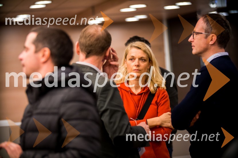 Slovenski inženirski dan