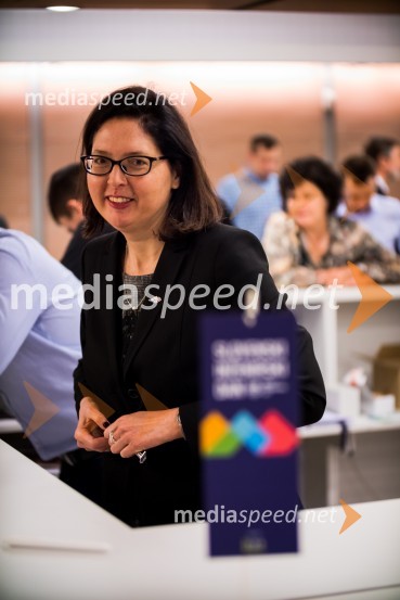 Slovenski inženirski dan