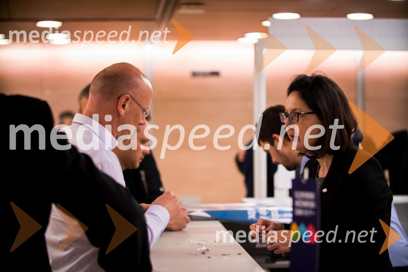 Slovenski inženirski dan