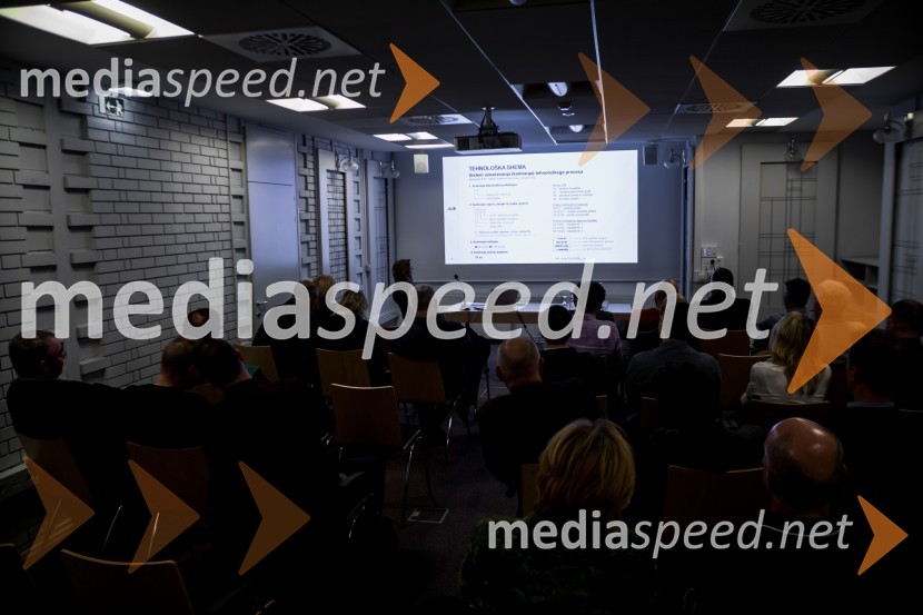 Slovenski inženirski dan