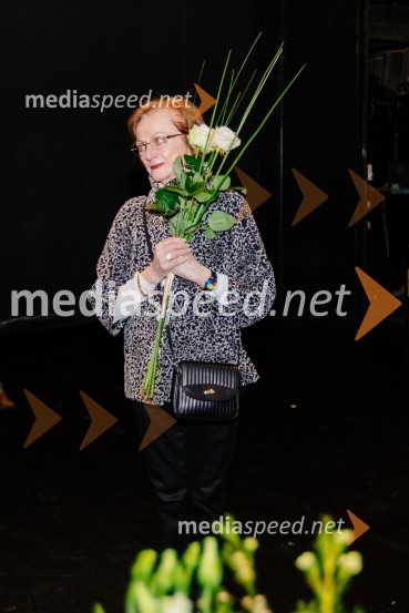  Roslyn Anderson, baletna mojstricaFalling Angels, premiera baleta v SNG Maribor