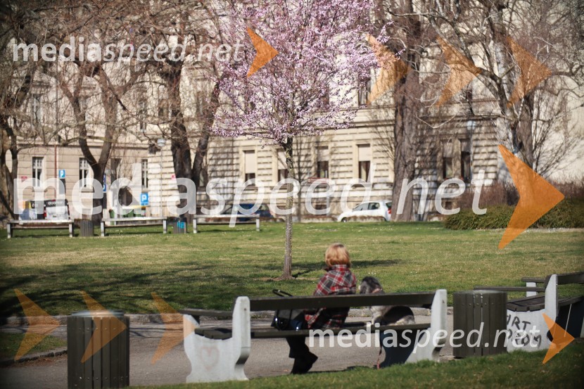 Maribor in mestni utrip v času novega koronavirusa