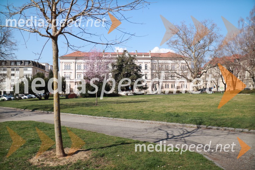 Maribor in mestni utrip v času novega koronavirusa