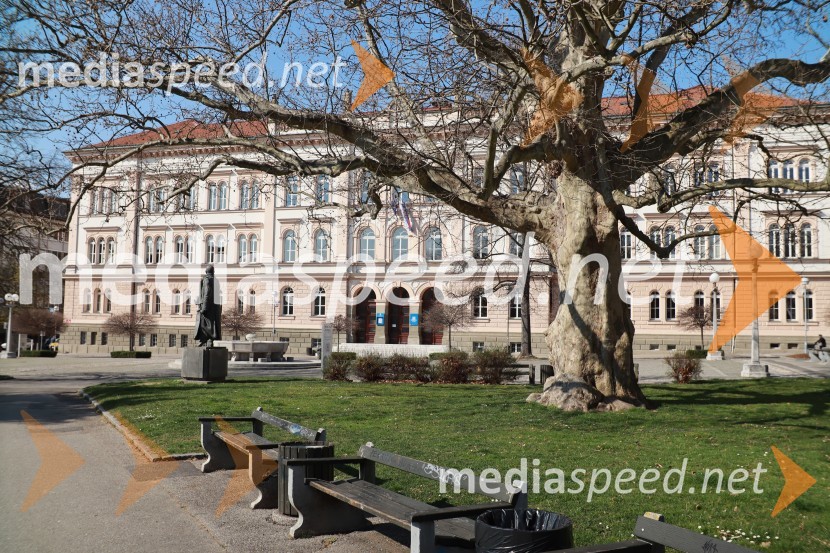 Maribor in mestni utrip v času novega koronavirusa