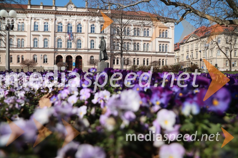 Maribor in mestni utrip v času novega koronavirusa