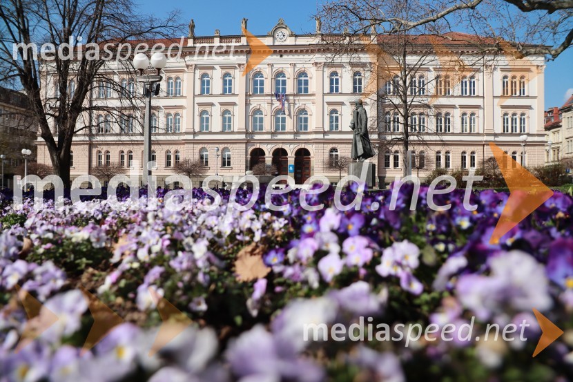 Maribor in mestni utrip v času novega koronavirusa
