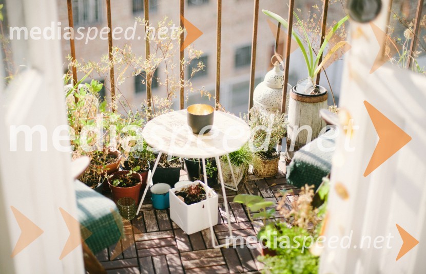 5 nasvetov kako izkoristiti koronavirus za čiščenje in urejanje stanovanja