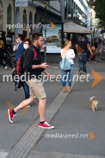 Protivladni protest na kolesih v Mariboru