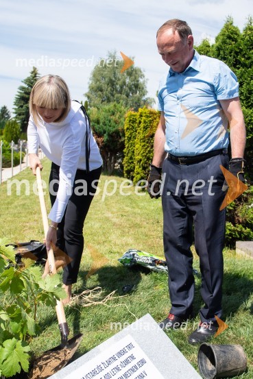 mag. Lidija Pliberšek, direktorica Pogrebnega podjetje Maribor d.d. in predsednica ASCE;  Stane Kocutar, mestni viničar, skrbnik Stare trte, novinar Radia Maribor, zgodovinarZasaditev potomke stare trte na pobreškem pokopališču