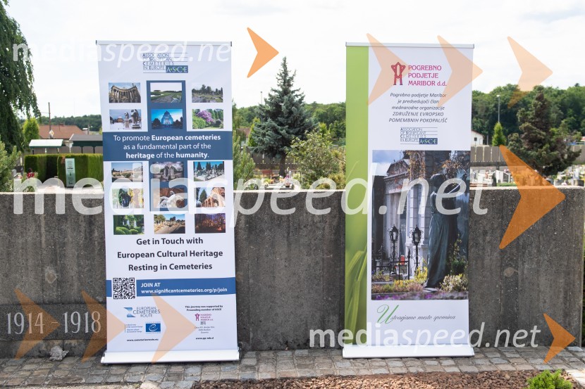 Zasaditev potomke stare trte na pobreškem pokopališču