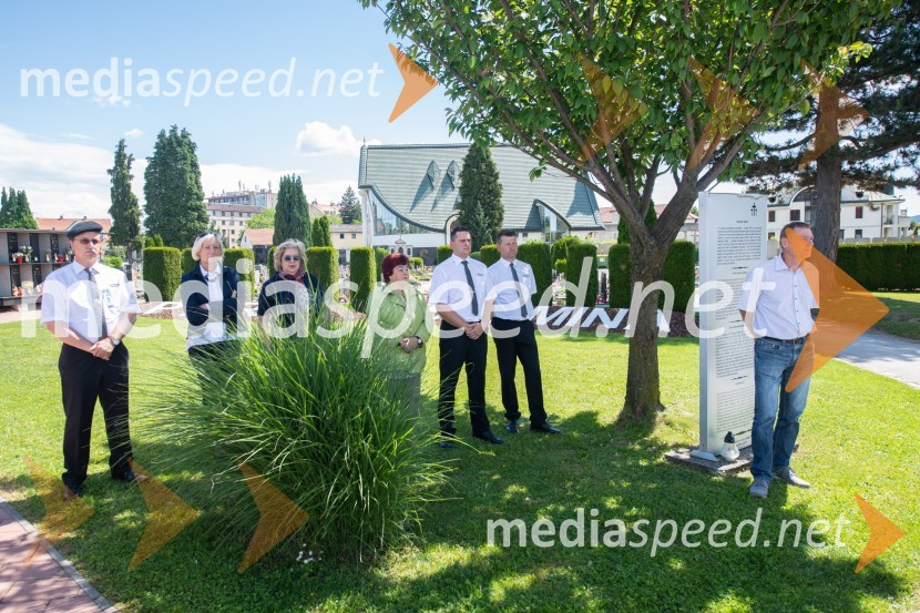 Zasaditev potomke stare trte na pobreškem pokopališču