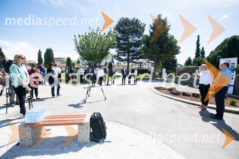 Zasaditev potomke stare trte na pobreškem pokopališču