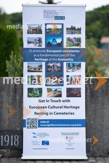 Zasaditev potomke stare trte na pobreškem pokopališču