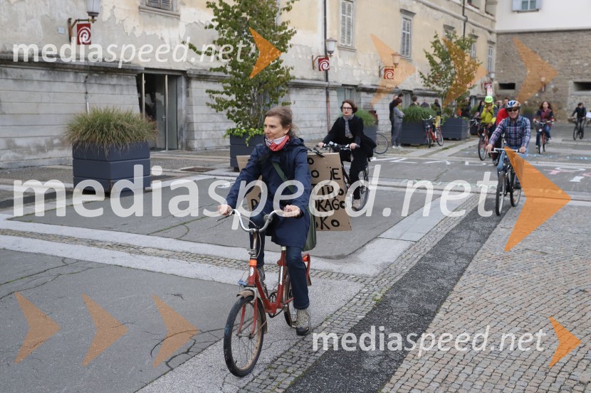 Petkovi protesti v Mariboru