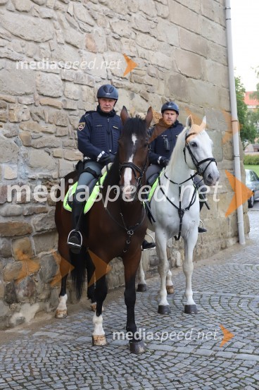 Policija RS na konjihPetkovi protesti v Mariboru