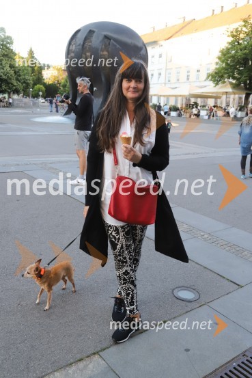  Jasmina  Granduč, slikarkaProtest v Mariboru