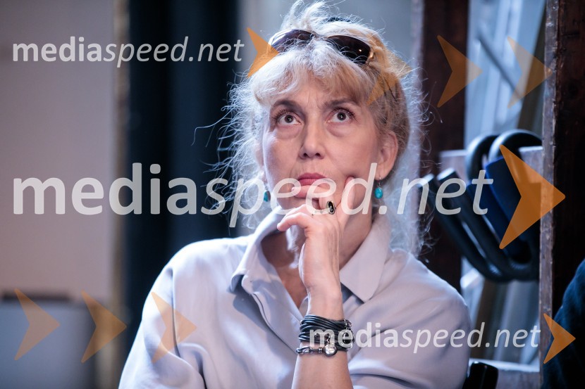  Barbara Hieng Samobor, direktorica in umetniška vodja MGLNovinarska konferenca ob razgrnitvi programa 54. festivala BITEF in podelitvi festivalskih nagrad