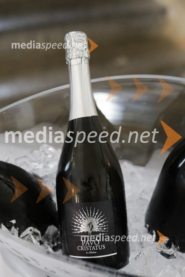 Končno v živo: Predstavitev novih standardov pri organizaciji dogodkov v prihodnje