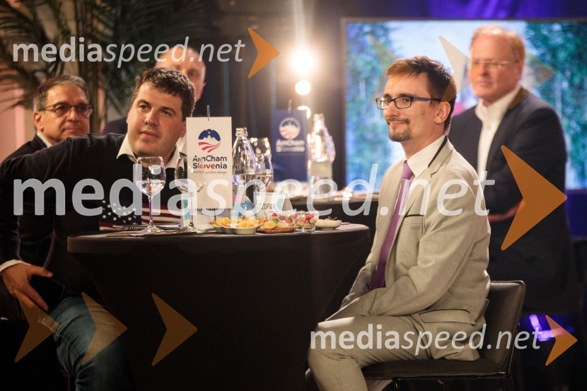  ... ; mag. Primož Zupan, direktor podjetja Hal MBillsTop potencial leta 2020