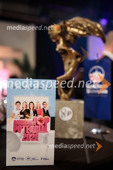 Top potencial leta 2020