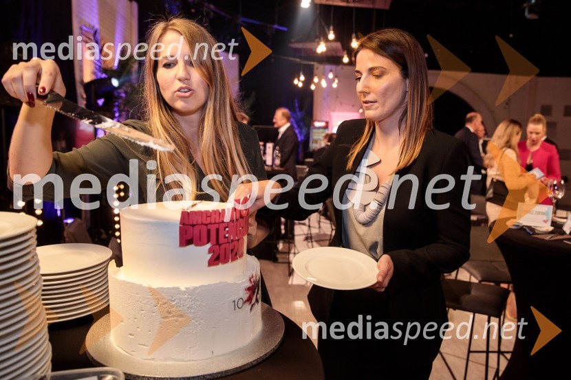  Nina Pejič, mlada raziskovalka na FDV UM;  Urška Kajtner, Roche, farmacevtska družbaTop potencial leta 2020