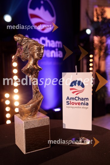 Top potencial leta 2020