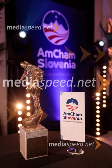 Top potencial leta 2020