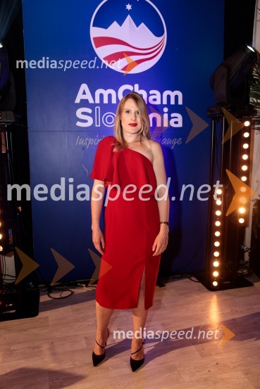  Tonja Avsenik, AmCham (Ameriška gospodarska zbornica)Top potencial leta 2020