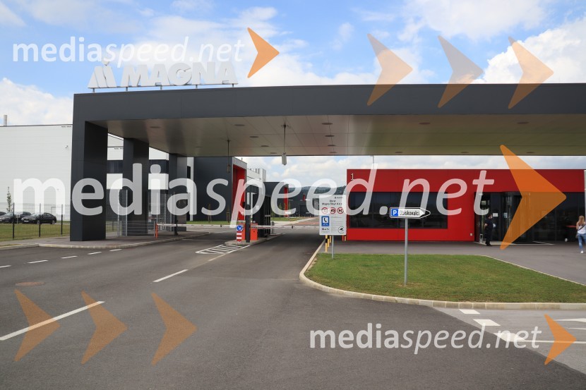 Delavci  Magne Steyr Hoče prezaposleni v Graz