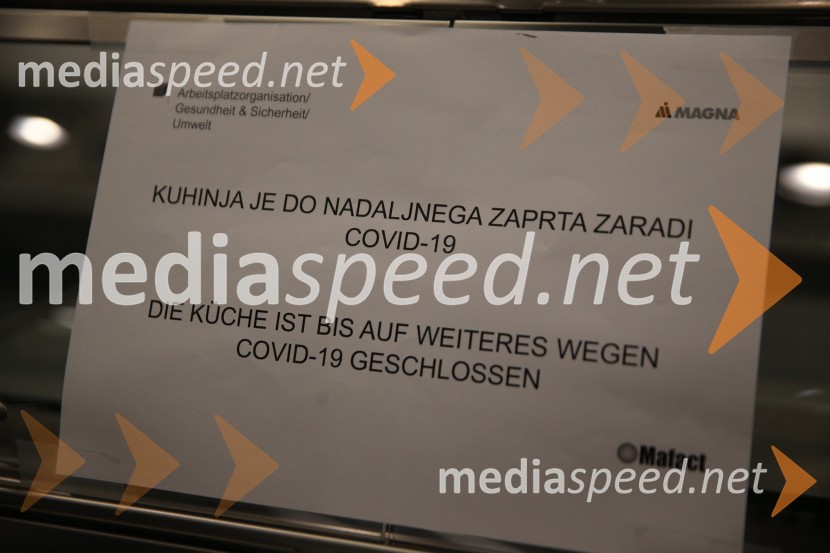 Delavci  Magne Steyr Hoče prezaposleni v Graz