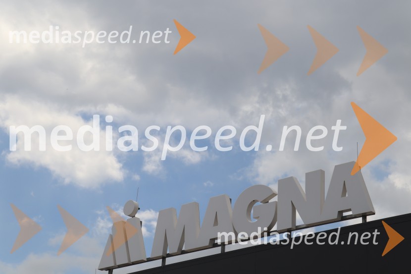 Delavci  Magne Steyr Hoče prezaposleni v Graz