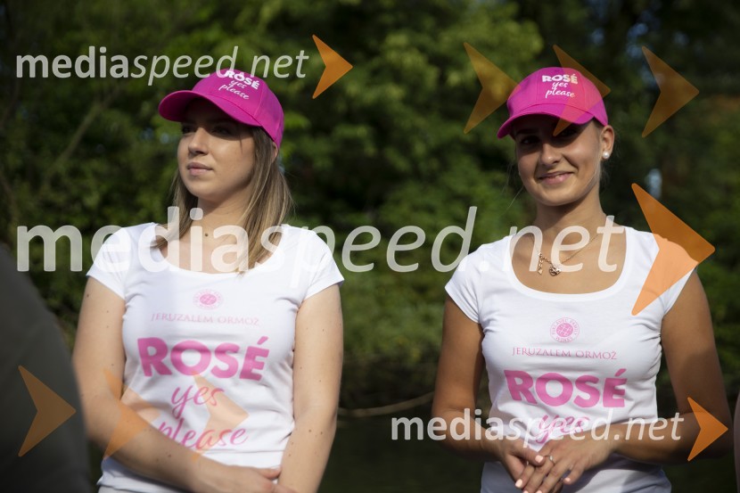 Londonska šola za odnose z javnostmi (LSPR) in UDO akademija, podelitev diplom 2020