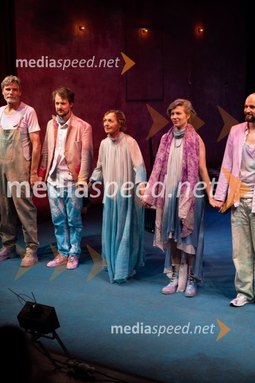  Boris  Kerč, igralec;  Jernej Gašperin, igralec;  Bernarda Oman, igralka;  Mia Skrbinac, igralka;  Jaka Lah, igralecŽalostinke, premiera drame