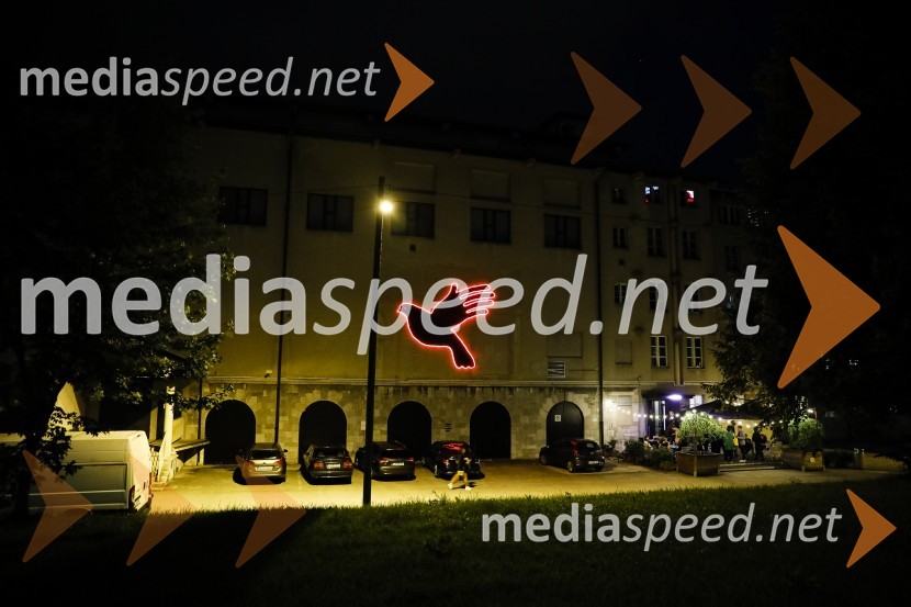 Paloma, premiera predstave v SMG Ljubljana