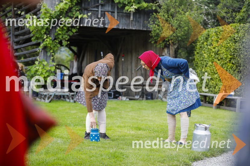 Lions klub Ljubljana Iliria praznuje 20. obletnico delovanja