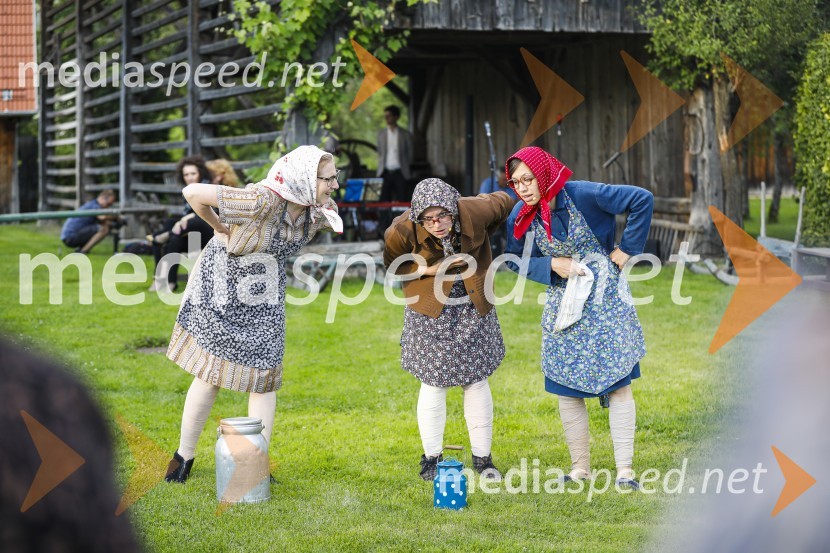 Lions klub Ljubljana Iliria praznuje 20. obletnico delovanja