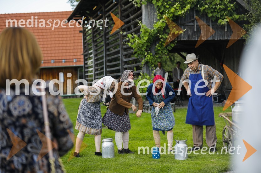 Lions klub Ljubljana Iliria praznuje 20. obletnico delovanja