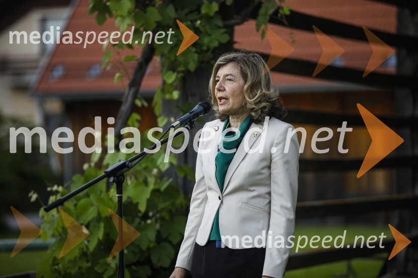  Nadja PahorLions klub Ljubljana Iliria praznuje 20. obletnico delovanja