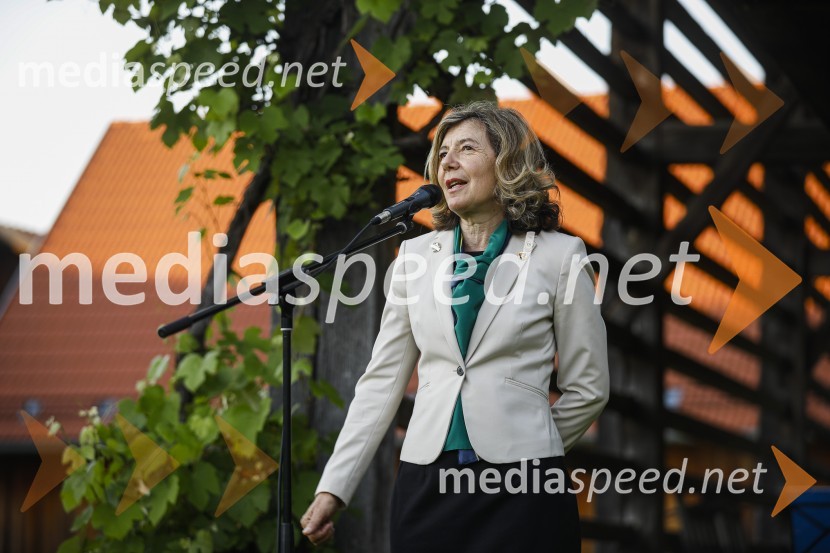  Nadja PahorLions klub Ljubljana Iliria praznuje 20. obletnico delovanja