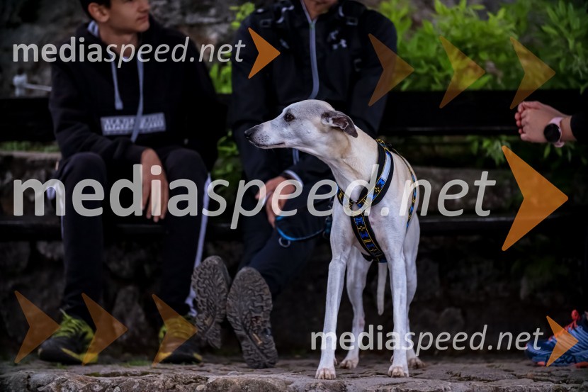 Od vzhoda do vzhoda, Pohod na Šmarno goro 2020