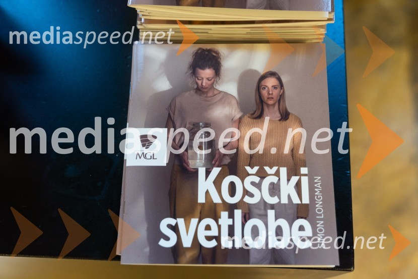 Koščki svetlobe, premiera predstave v MGL
