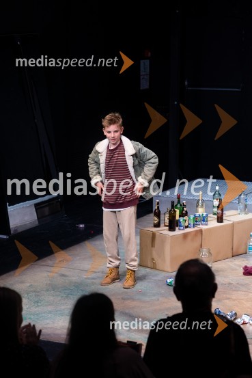 Koščki svetlobe, premiera predstave v MGL