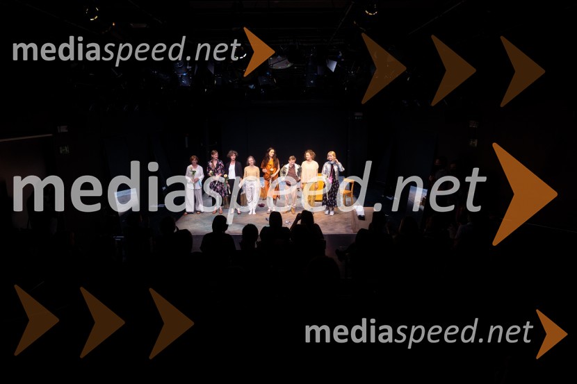 Koščki svetlobe, premiera predstave v MGL