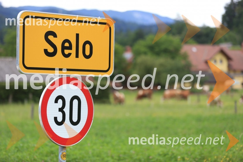 Škoda Octavia, 4. generacija, slovenska predstavitev