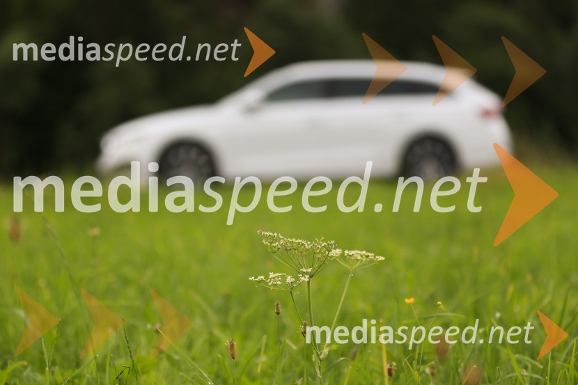 Škoda Octavia, 4. generacija, slovenska predstavitev