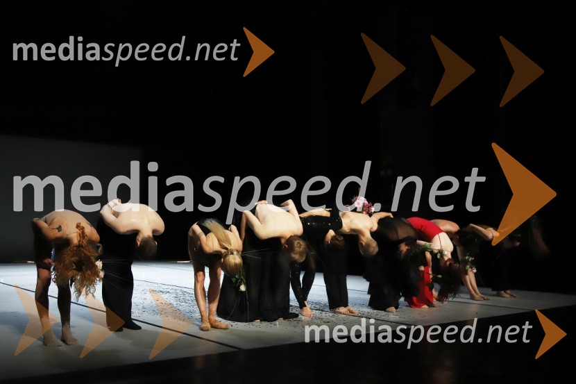 Little Creation, premiera baleta v SNG Maribor