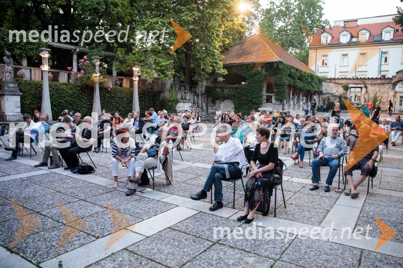 Tomaž Domicelj, peta akustika na Ljubljana festivalu