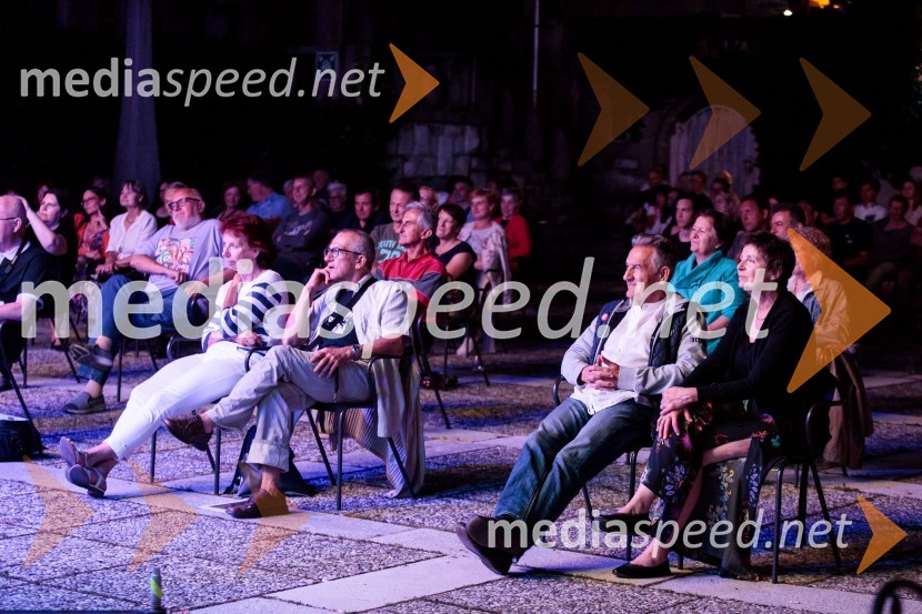 Tomaž Domicelj, peta akustika na Ljubljana festivalu