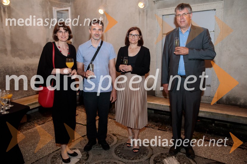 Tomaž Domicelj, peta akustika na Ljubljana festivalu