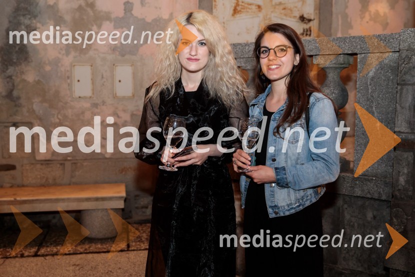 Tomaž Domicelj, peta akustika na Ljubljana festivalu